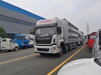 現代化畜禽運輸配套解決方案 衡水半掛運輸車、簡易裝豬臺與自動消毒設備